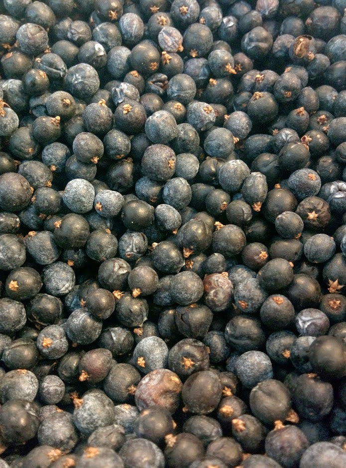Juniper Berries – Forbes Wild Foods