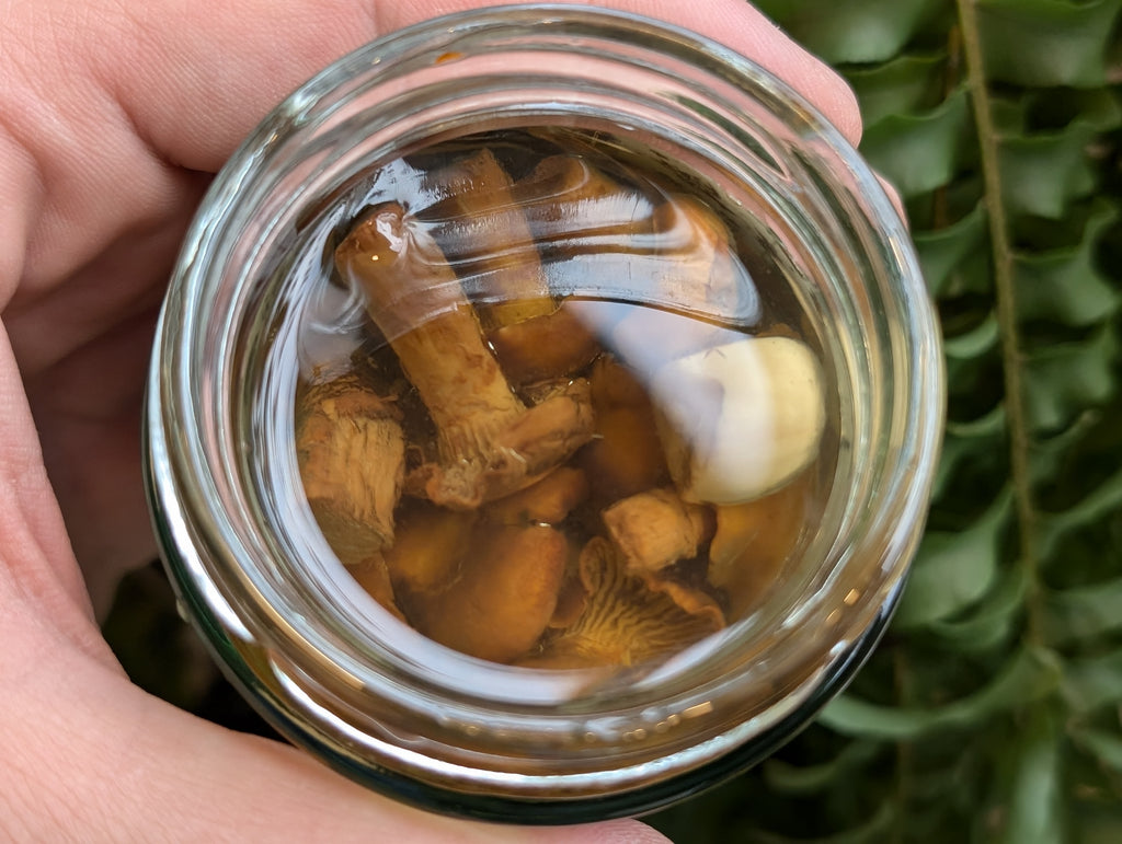 Marinated Chanterelles